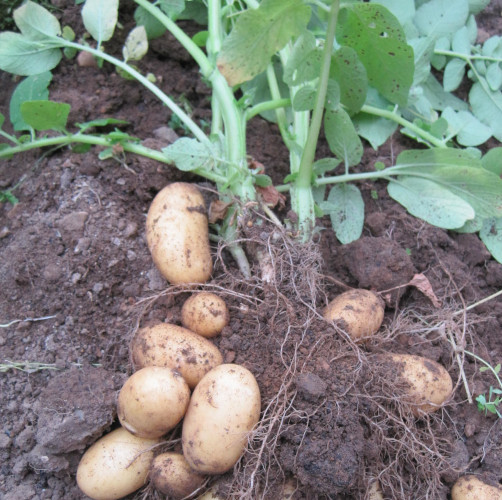 February Delivery image